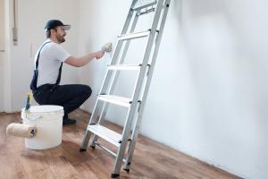 Professional Painter Kansas City